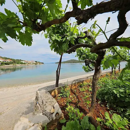 Apartman In - Insel Iz 53385 *